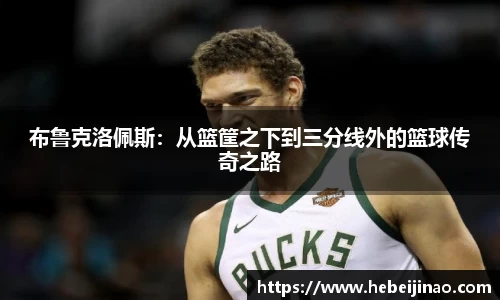 布鲁克洛佩斯：从篮筐之下到三分线外的篮球传奇之路